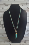 Turquoise Necklace with Wolf Tooth